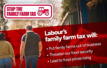 family farm tax picture